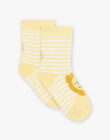 Chaussettes écrues à rayures jaune Jacquard lion FAARNOLD / 23E4BG82SOQ001