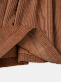 Robe chasuble marron en velours LAROMETTE / 24H2PFS1CHSI810