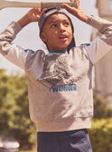 Sweat-shirt gris imprimé ours Garçon NOURSAGE / 25H3PGP1SWE943