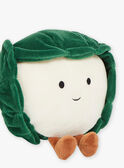 Peluche Chou-fleur verte SMAPE0088CHOUX / 23J7GM42DO2099