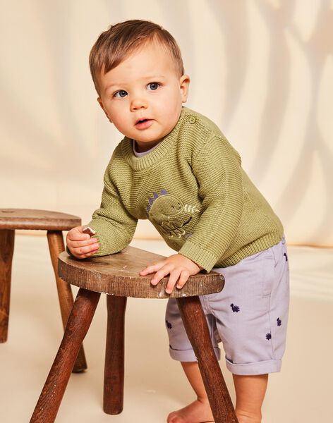 Pull kaki clair en tricot à broderie dinosaure FAOFLO / 23E1BGO1PUL612