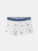 Lot de 3 boxers à rayures, imprimé ou uni Garçon NUITRIAGE / 25H5PGC2BOX506