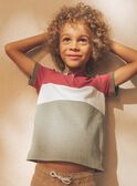 Polo colorblock avec dinosaure FRIPLAGE1 / 23E3PGD1POL628