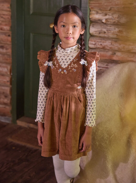 Robe chasuble marron en velours LAROMETTE / 24H2PFS1CHSI810