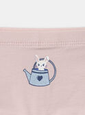 Lot de 5 boxers Lapin en jersey MLIPETTE / 25E5PF41SHYA016