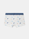 Lot de 3 boxers à rayures, imprimé ou uni Garçon NUITRIAGE / 25H5PGC2BOX506