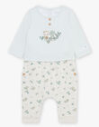 Body-T-shirt bleu, pantalon beige et chaussettes vert d'eau FOREST / 23E0CG72ENS614