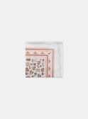 Foulard imprimé fleuri KROFOULETTE / 24E4PFE1ECH001