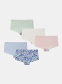 Lot de 5 boxers Lapin en jersey MLIPETTE / 25E5PF41SHYA016