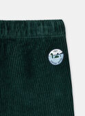 Pantalon Vert LAMAURICE / 24H1BGO2PANG625