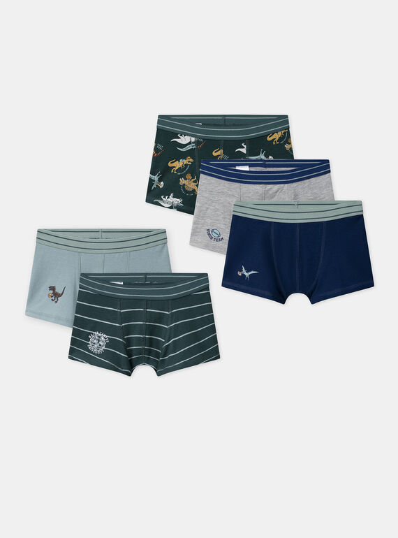 Lot de 3 boxers à rayures, imprimé ou uni Garçon NUIBOXAGE / 25H5PGC1BOX608