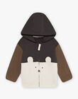 Gilet de jogging tricolore DALEO / 22H1BGR1JGH941