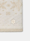 Snood en maille  LIOFLOETTE / 24H4PF81SNOD319
