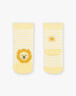 Chaussettes écrues à rayures jaune Jacquard lion FAARNOLD / 23E4BG82SOQ001