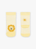 Chaussettes écrues à rayures jaune Jacquard lion FAARNOLD / 23E4BG82SOQ001
