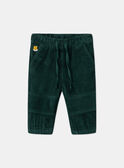 Pantalon Vert LAMAURICE / 24H1BGO2PANG625
