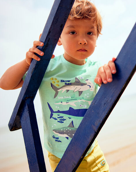 T-shirt bleu turquoise motifs requins enfant garçon COTIFAGE / 22E3PGN1TMC203