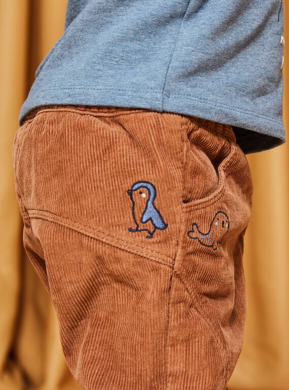 Pantalon en velours côtelé marron DASCOTT / 22H1BGY1PAN804