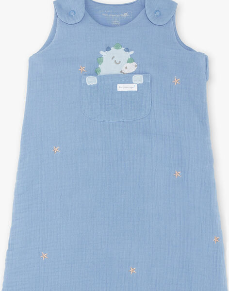Gigoteuse Bleue Etoiles Bebe Garcon Collection 0 12 Mois Naissance Sergentmajor