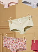 Lot de 5 shorty LUIBOETTE / 24H5PF52SHY001