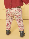 Legging imprimé  LAPATRICIA / 24H1BFR1LG001
