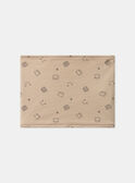 Snood Beige LINICO / 24H4BG61SNOA014