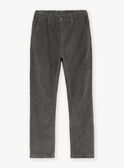 Pantalon chino vert de gris en velours GLECHOAGE / 23H3PGQ2PAN631