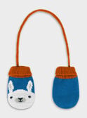 Gants bleu  PAOLOU / 18H4BGK1GAN201