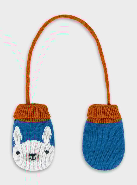 Gants bleu  PAOLOU / 18H4BGK1GAN201