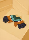 Gants en maille LIOGANAGE / 24H4PG81GAN070