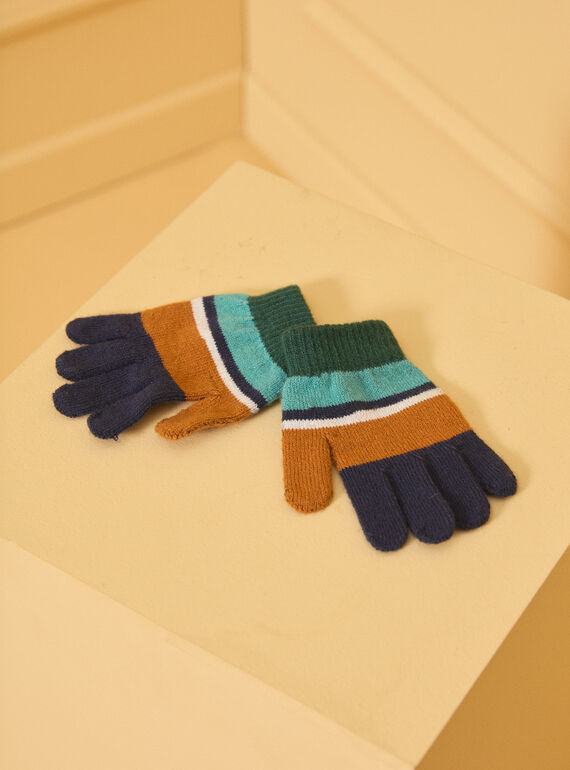Gants en maille LIOGANAGE / 24H4PG81GAN070