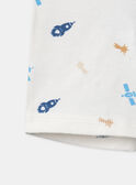 Lot de 3 boxers à rayures, imprimé ou uni Garçon NUITRIAGE / 25H5PGC2BOX506
