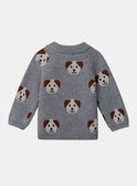 Pull jacquard chiens LAOREL / 24H1BGQ1PUL943