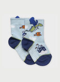 Chaussettes bleue RAARNOLD / 19E4BG21SOQ213