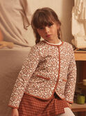 Cardigan Marron LIREVETTE / 24H2PFK2CAR809