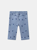 Pantalon brodé fleurs MADIANE / 25E1BF81PANP272