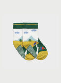 Chaussettes vert RACELLO / 19E4BG61SOQ001