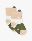 Chaussettes rayées multicolore à Jacquard ourson FAGEGE / 23E4BGD2SOQ801