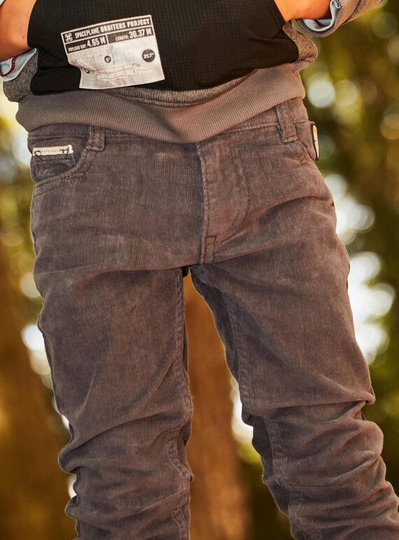 Pantalon gris slim DUSLIMAGE / 22H3PGZ2PANJ908