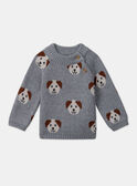 Pull jacquard chiens LAOREL / 24H1BGQ1PUL943