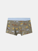 Lot de 5 boxers Dino  en jersey MLIMAINAGE / 25E5PG41BOX626