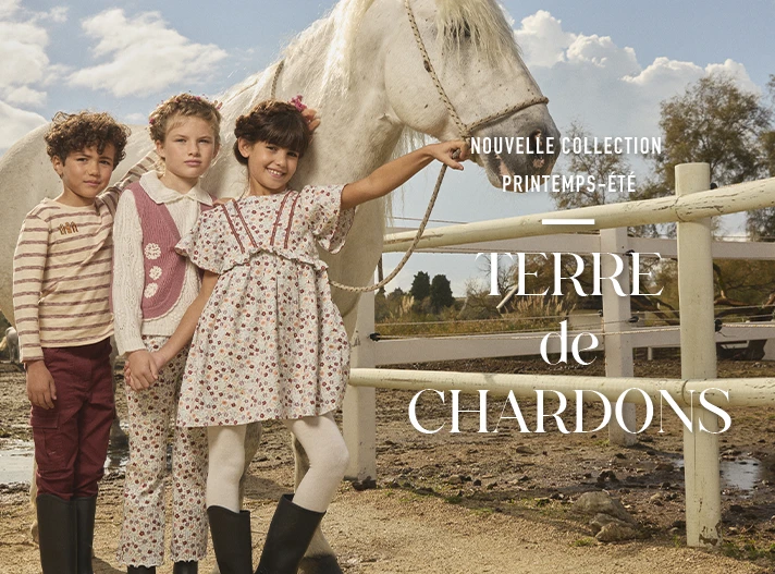 Terre de Chardons